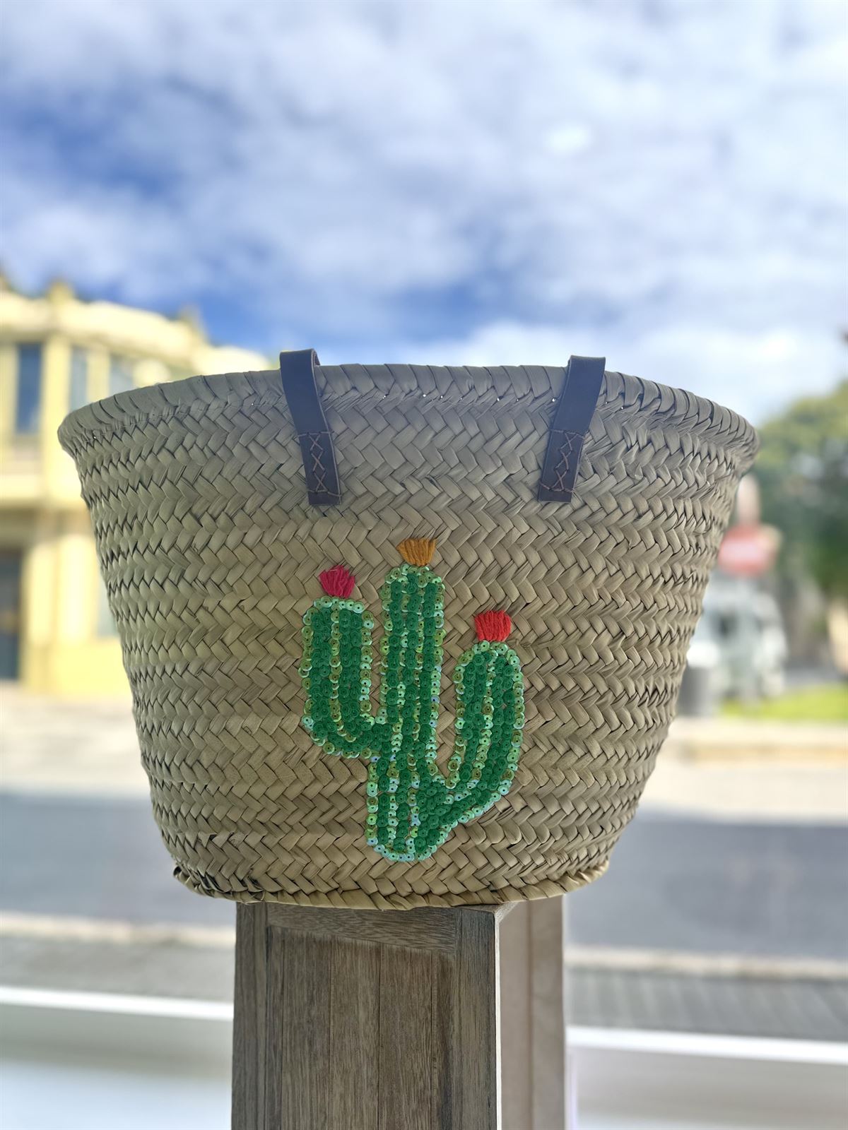 CAPAZO CACTUS - Imagen 1