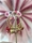 PENDIENTES AROS RED SEA - Imagen 1