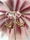 PENDIENTES AROS RED SEA - Imagen 2